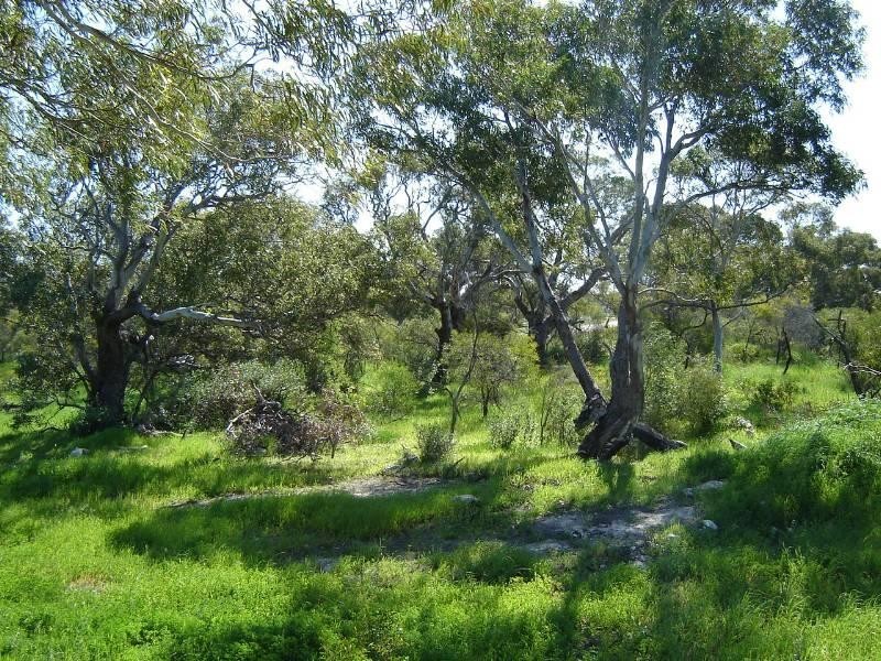 Lot 104 Homestead Loop, Jurien Bay WA 6516