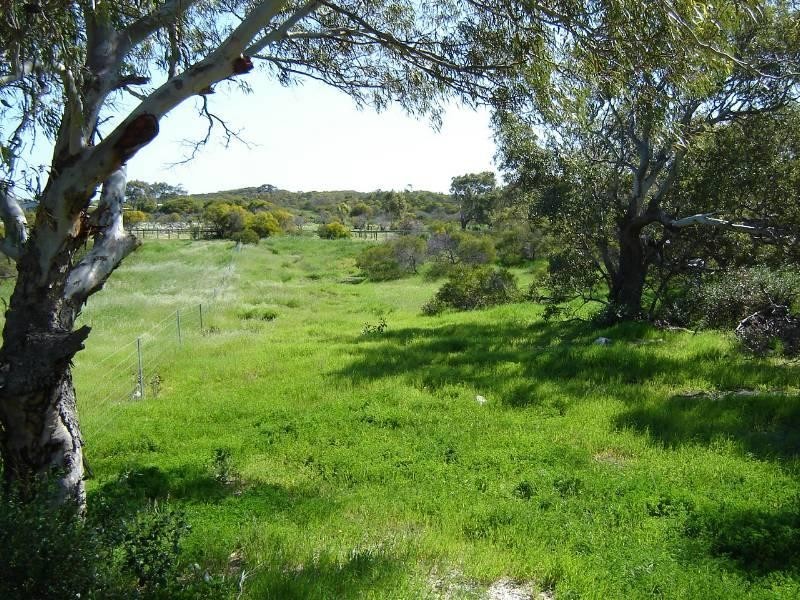 Lot 104 Homestead Loop, Jurien Bay WA 6516