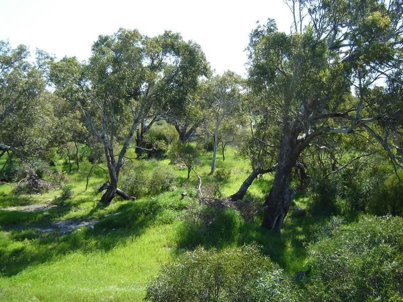 Lot 104 Homestead Loop, Jurien Bay WA 6516