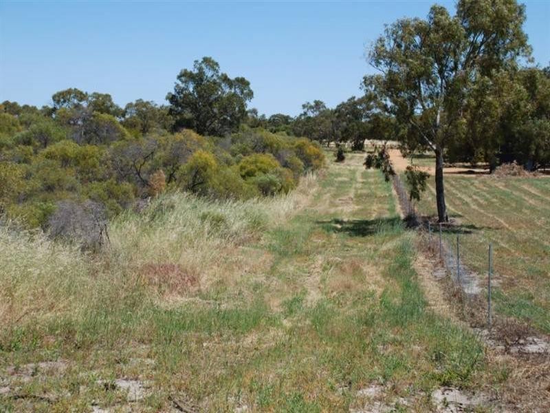 Lot 104 Homestead Loop, Jurien Bay WA 6516