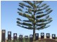 Lot 618, 1 Dryandra Boulevard, Jurien Bay WA 6516