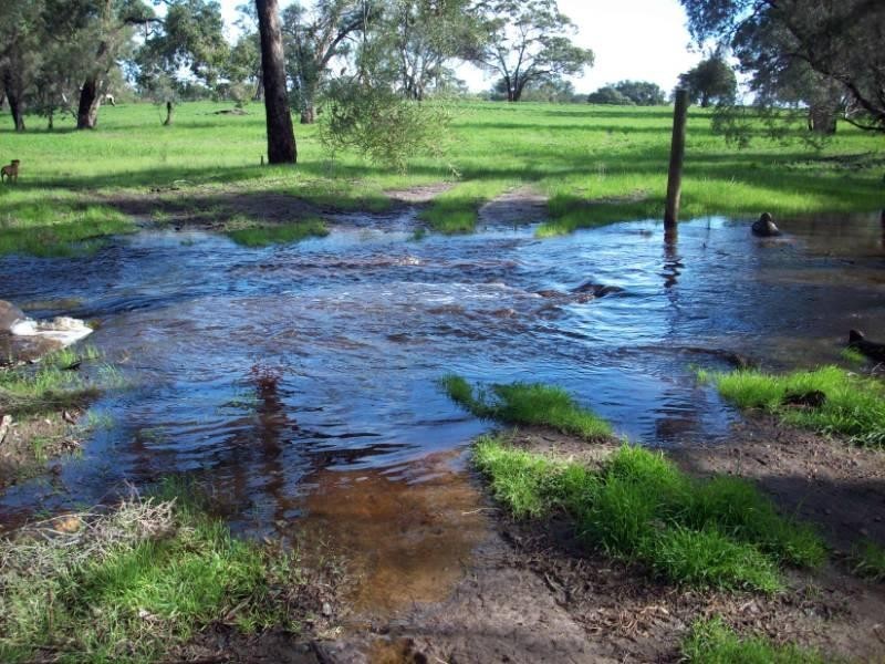 Lot 946 Nylagarda Road, Badgingarra WA 6521