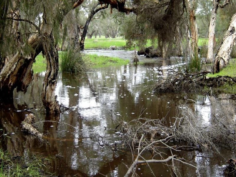 Lot 946 Nylagarda Road, Badgingarra WA 6521