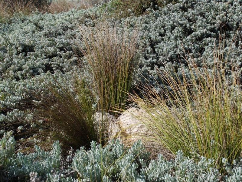 Lot 760, 34 Meelup Drive, Jurien Bay WA 6516