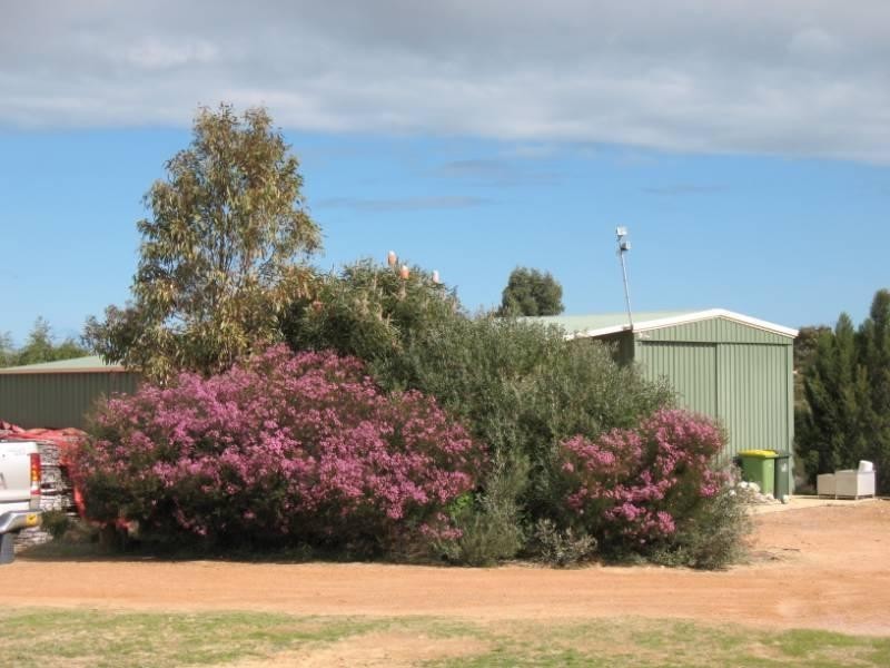 Lot 95, 106 Flying Foam Way, Jurien Bay WA 6516