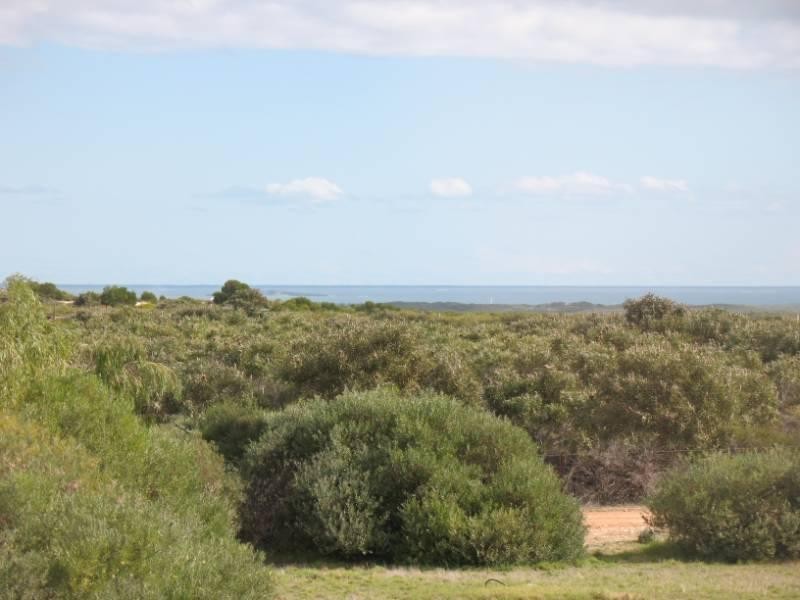 Lot 95, 106 Flying Foam Way, Jurien Bay WA 6516