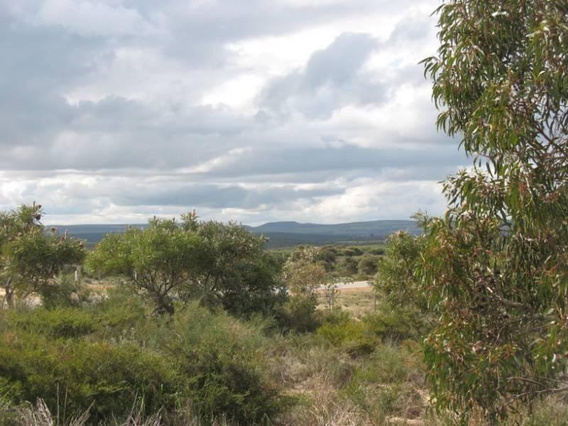 Lot 95, 106 Flying Foam Way, Jurien Bay WA 6516
