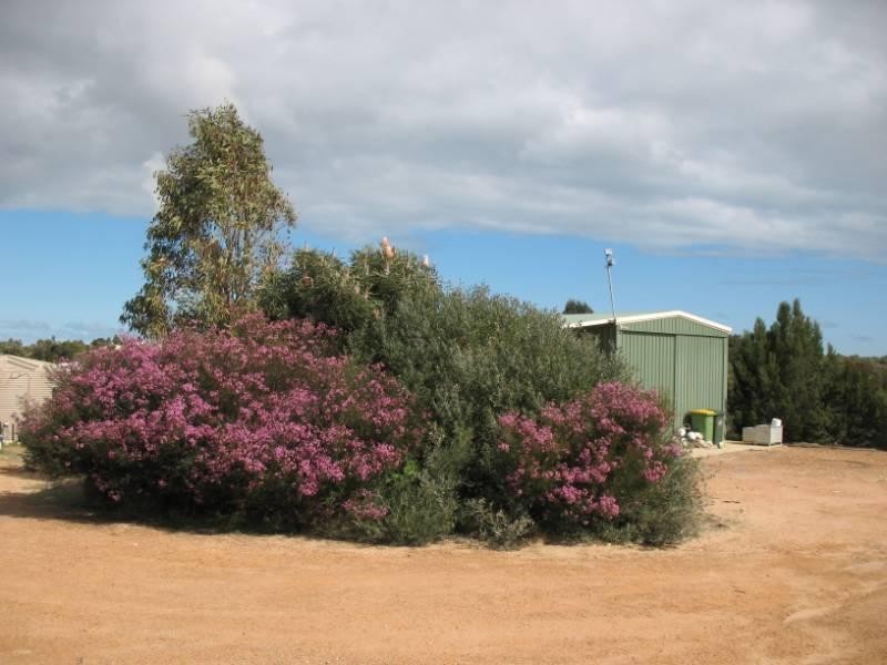 Lot 95, 106 Flying Foam Way, Jurien Bay WA 6516