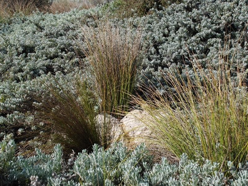 Lot 649, 10 Bathers Way, Jurien Bay WA 6516