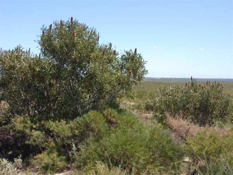 Lot 72 Flying Foam Way, Jurien Bay WA 6516