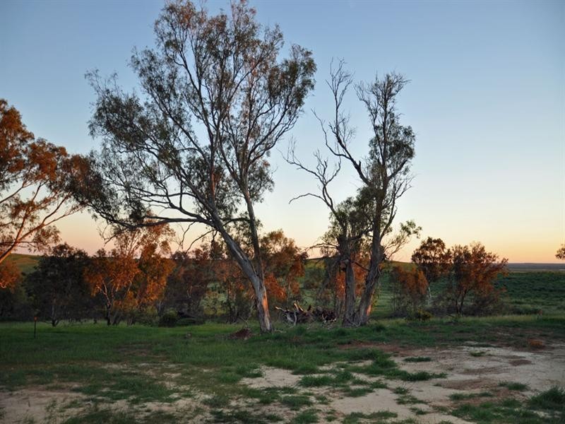 Lot 2 Fred Weston Road, Nambung WA 6521
