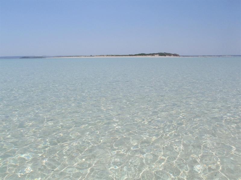 Lot 950, 6 Bells Boulevard, Jurien Bay WA 6516