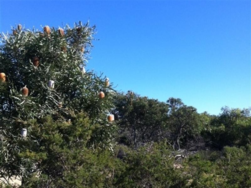 Lot 1 Wren Way, Jurien Bay WA 6516