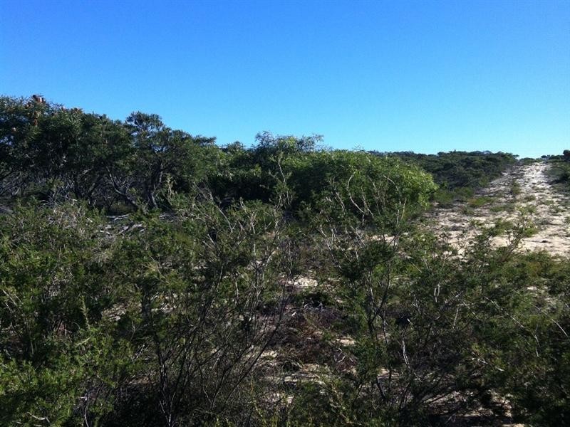 Lot 1 Wren Way, Jurien Bay WA 6516
