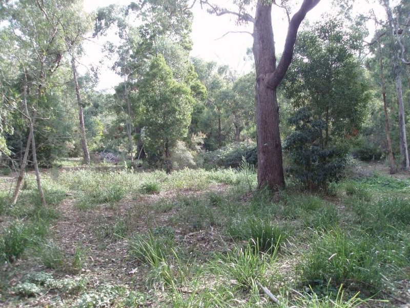 Healesville VIC 3777