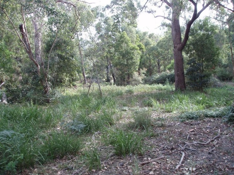 Healesville VIC 3777