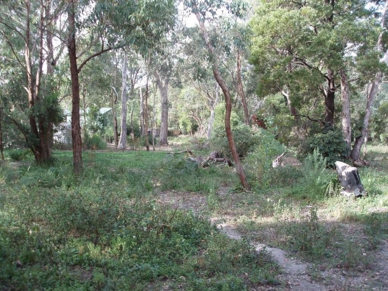 Healesville VIC 3777