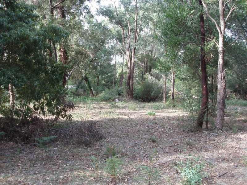 Healesville VIC 3777