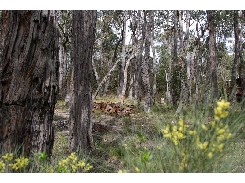 Healesville VIC 3777