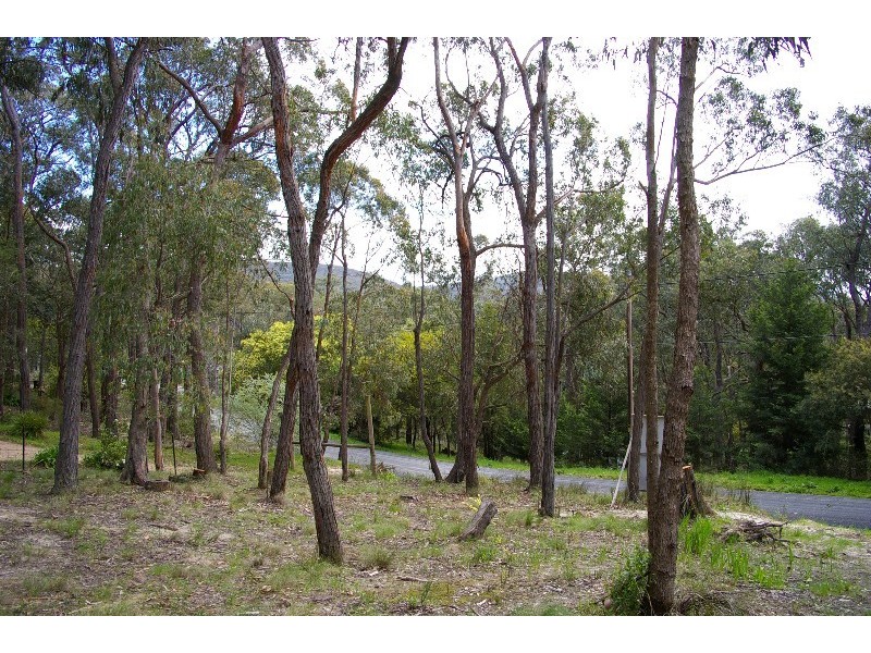 Healesville VIC 3777