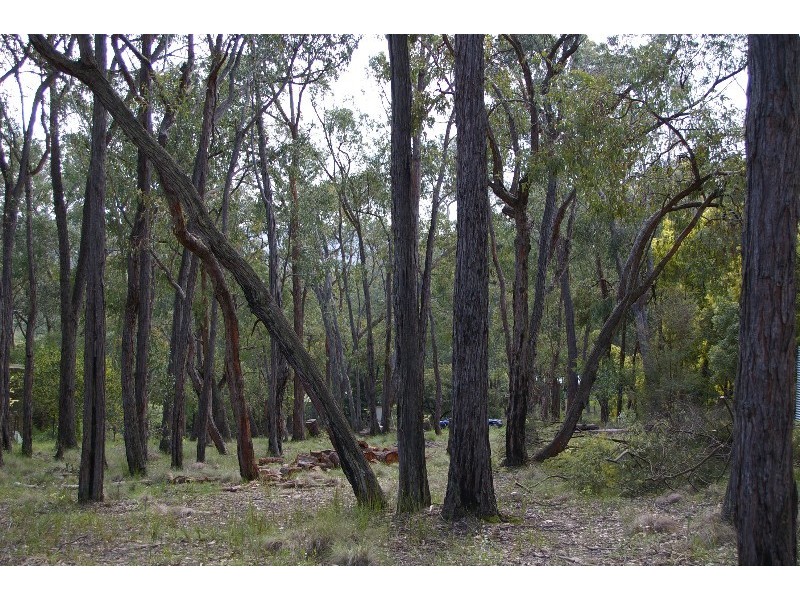 Healesville VIC 3777