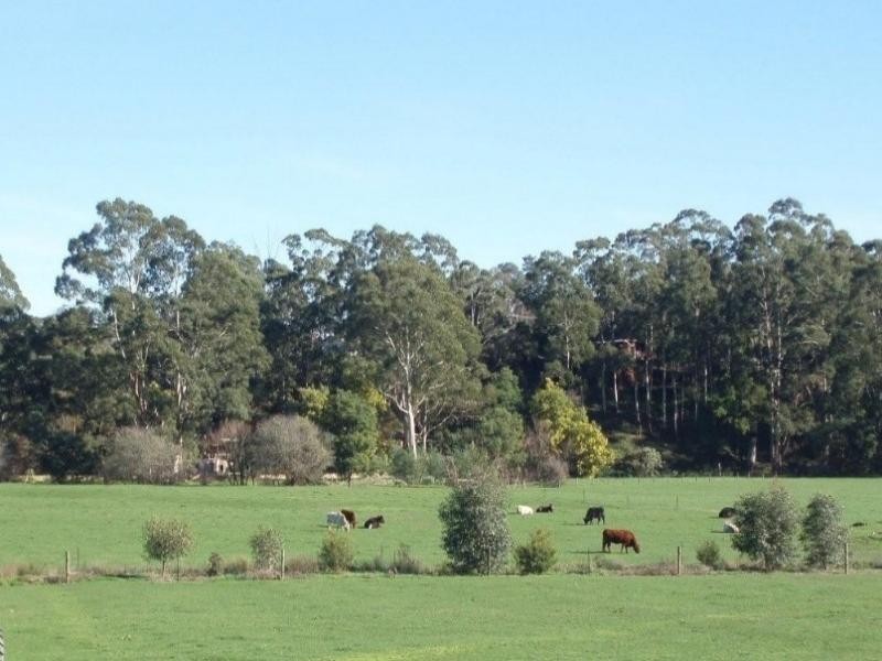 Healesville VIC 3777