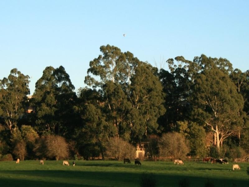 Healesville VIC 3777