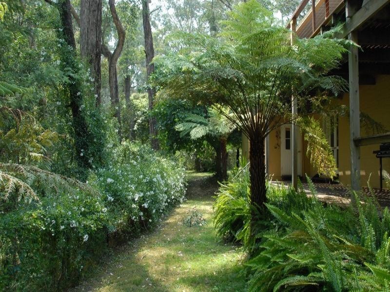 Healesville VIC 3777