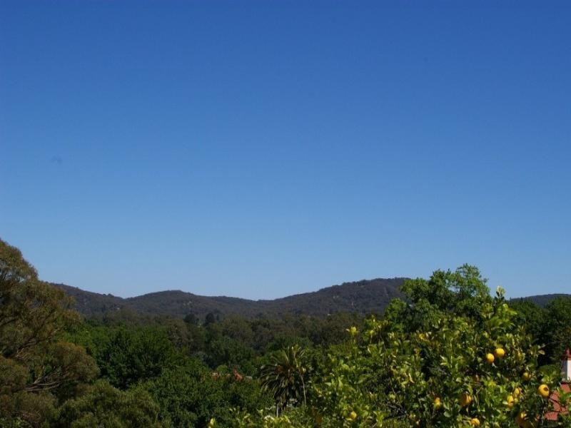 Healesville VIC 3777