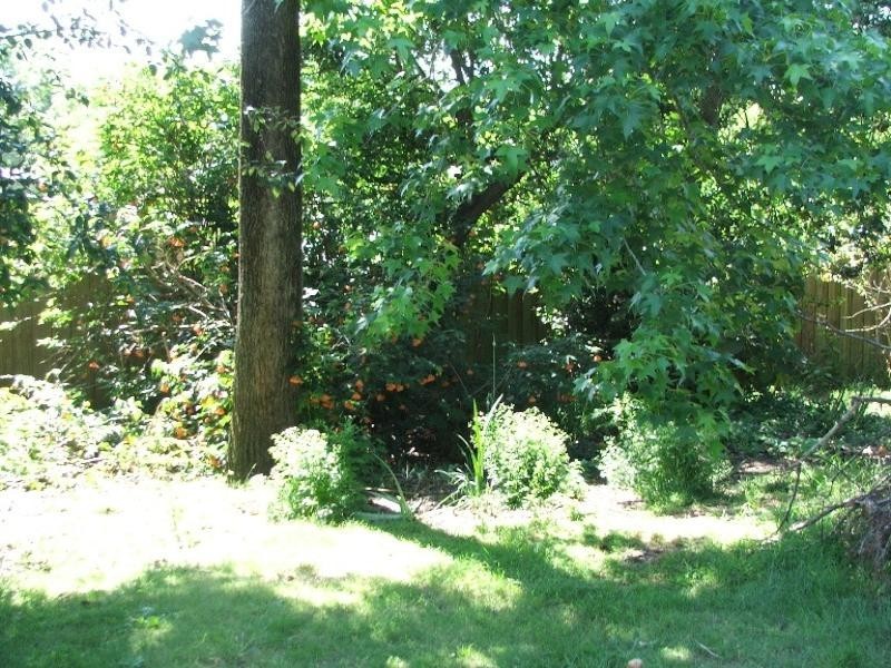 Healesville VIC 3777