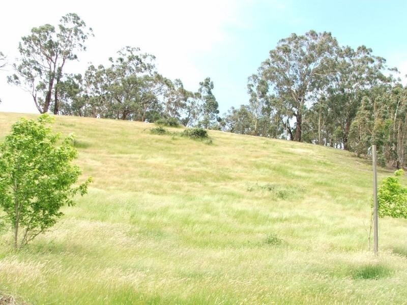 Healesville VIC 3777