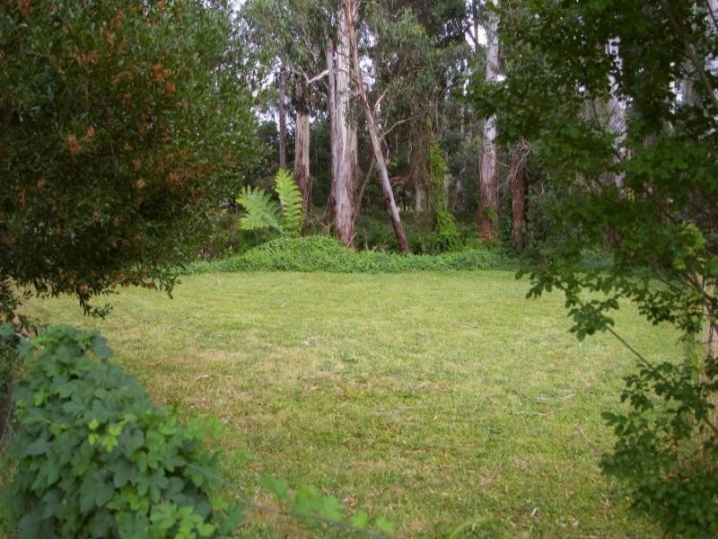 Healesville VIC 3777