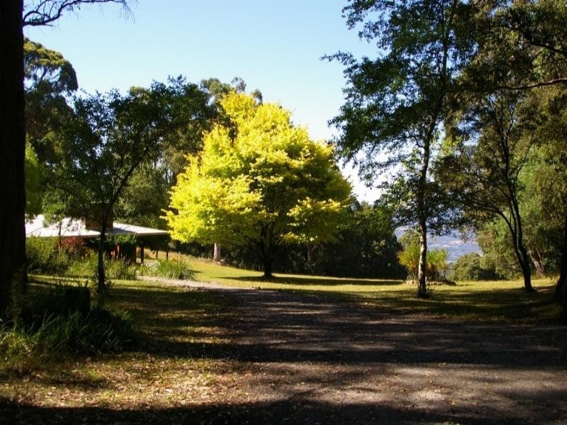 Healesville VIC 3777