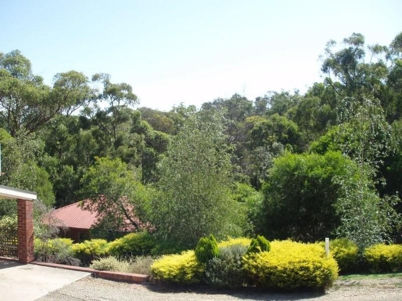 Healesville VIC 3777