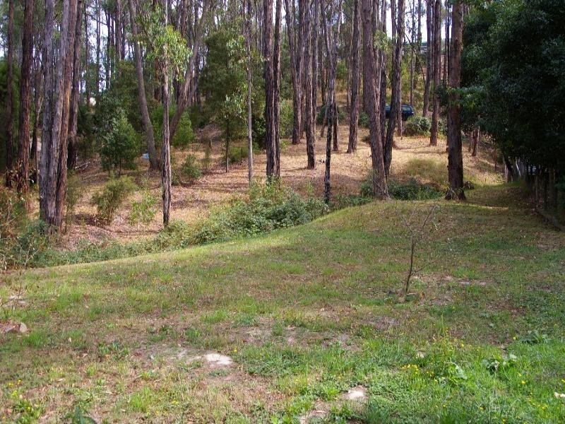 Healesville VIC 3777