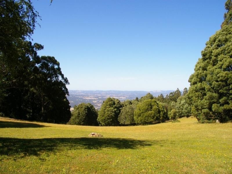Healesville VIC 3777