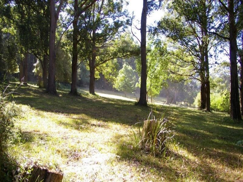 Healesville VIC 3777