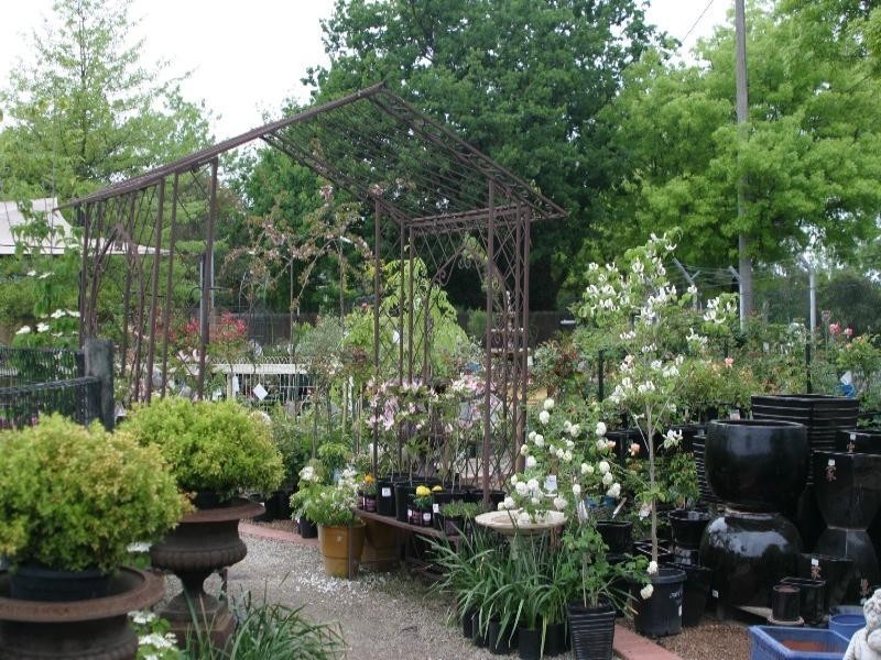 Healesville VIC 3777