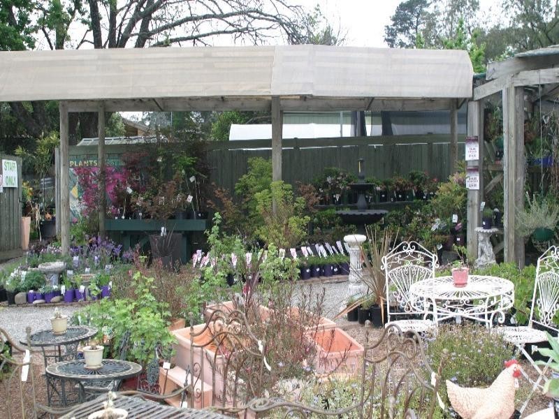 Healesville VIC 3777