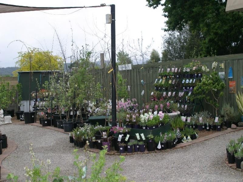 Healesville VIC 3777