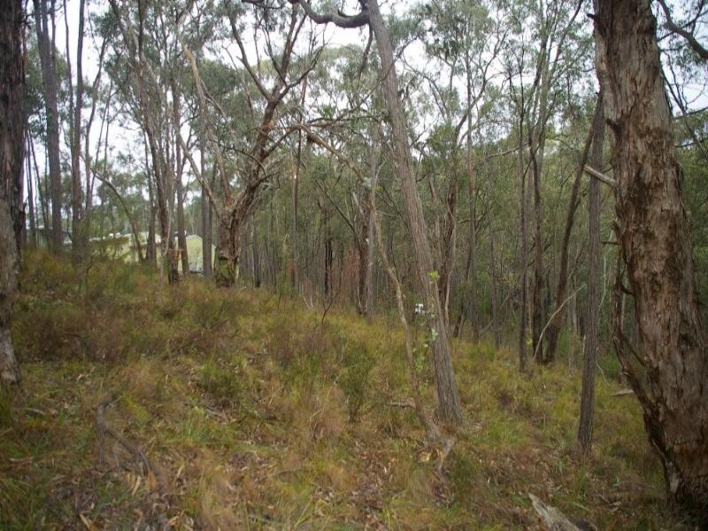 Healesville VIC 3777