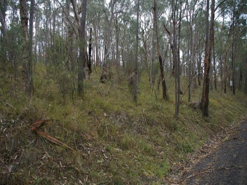 Healesville VIC 3777