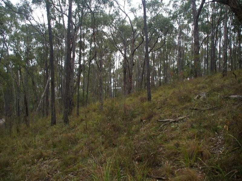 Healesville VIC 3777