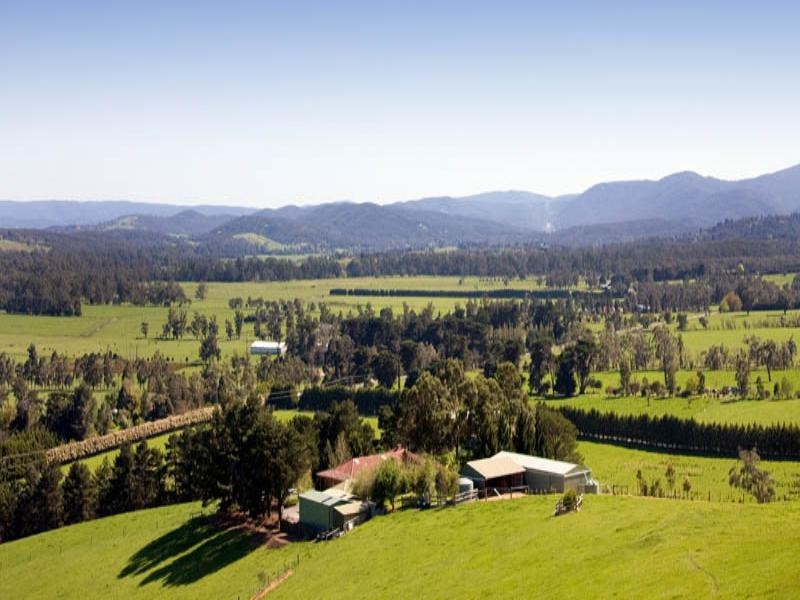 Healesville VIC 3777