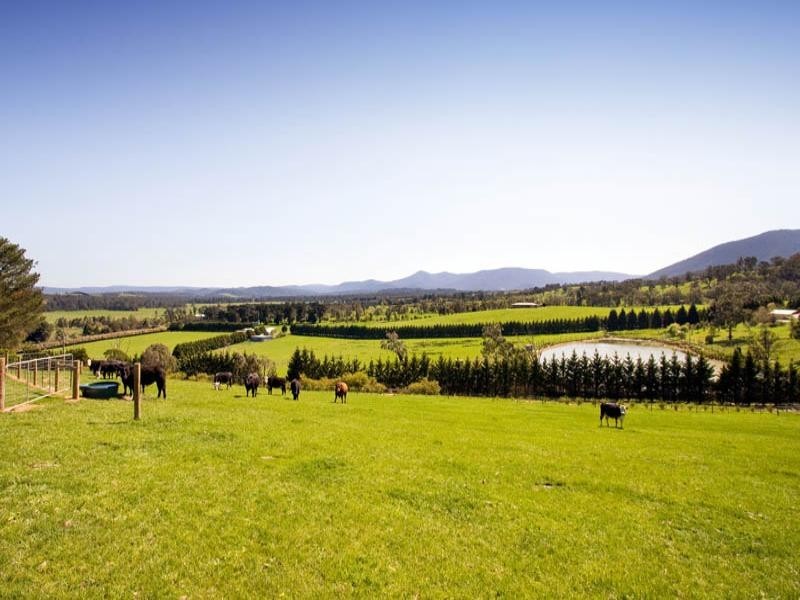 Healesville VIC 3777