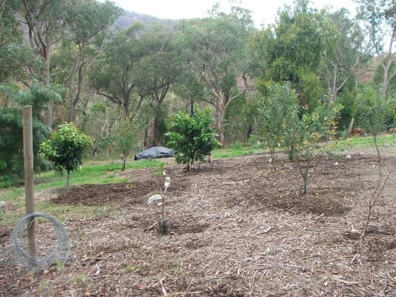 Healesville VIC 3777