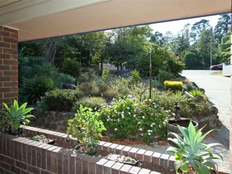 Healesville VIC 3777