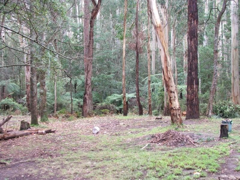 Healesville VIC 3777