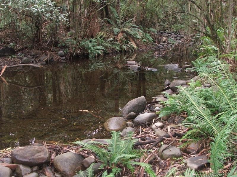 Healesville VIC 3777