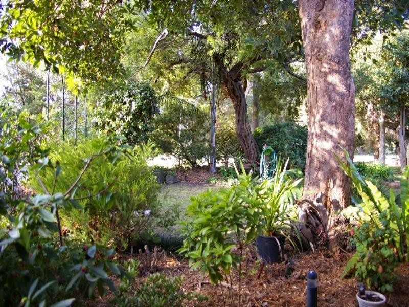 296 Don Road, Healesville VIC 3777